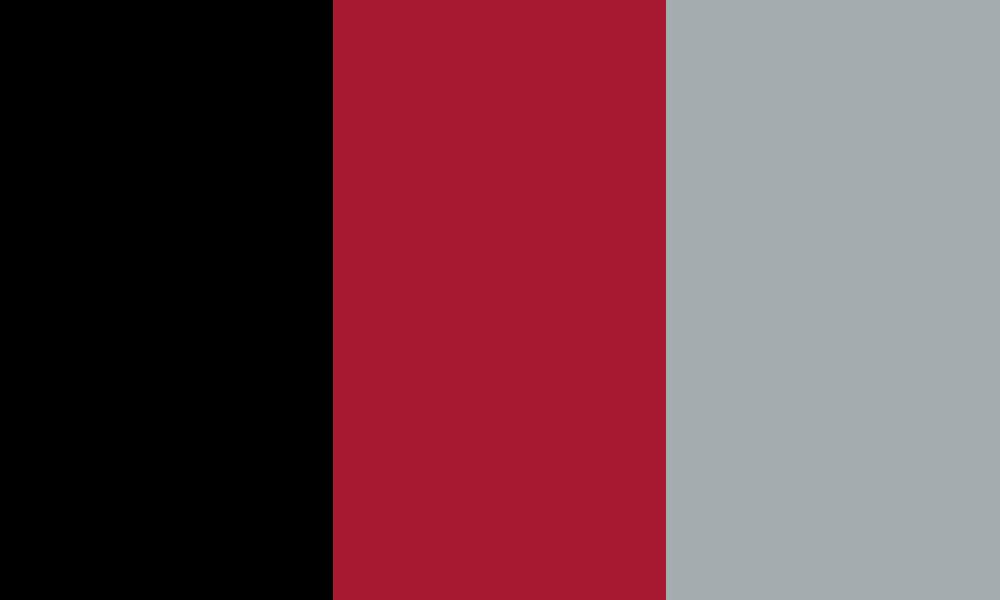 Atlanta Falcons colors
