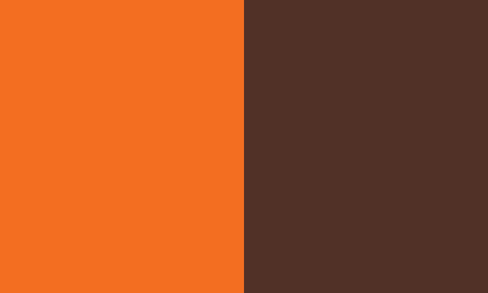 Rochester Institute of Technology colors