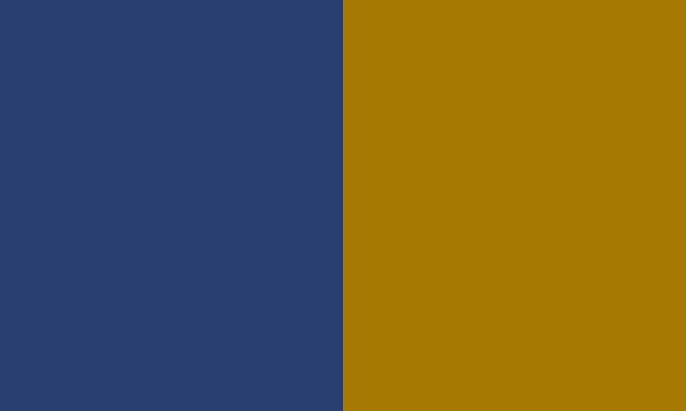 The College of New Jersey colors