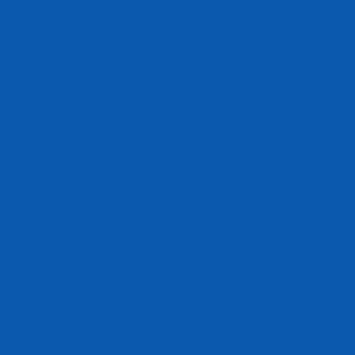 #0b58af Image #0b58af Image
