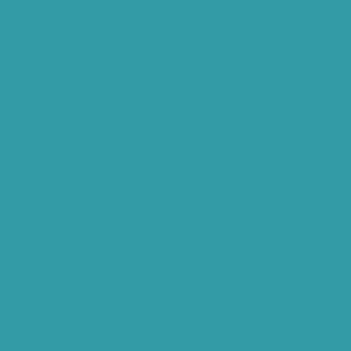 #339ba6 Image #339ba6 Image