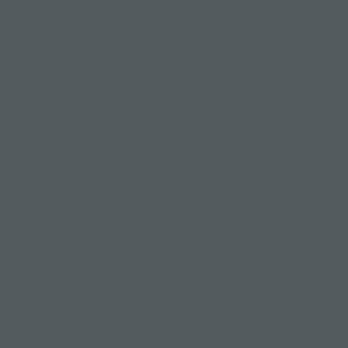#545b5e Image #545b5e Image