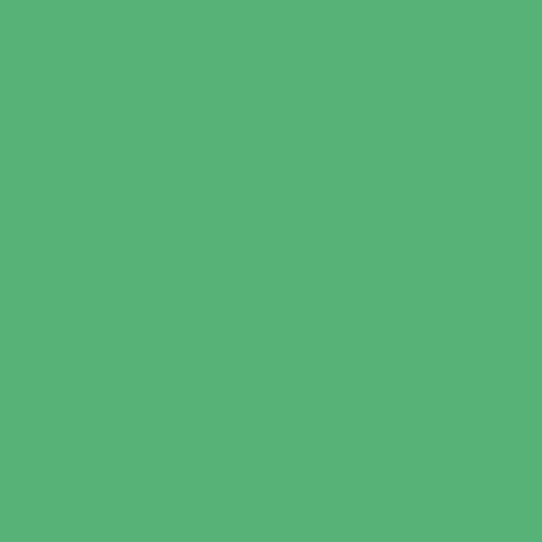 #56b277 Image #56b277 Image