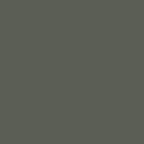 #5b5e54 Image #5b5e54 Image