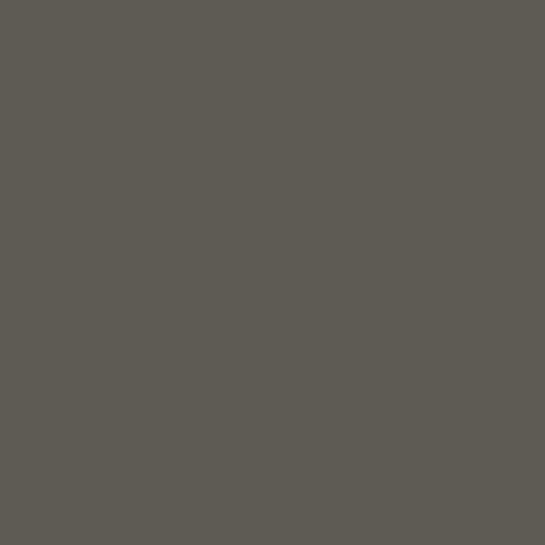 #5e5b54 Image #5e5b54 Image