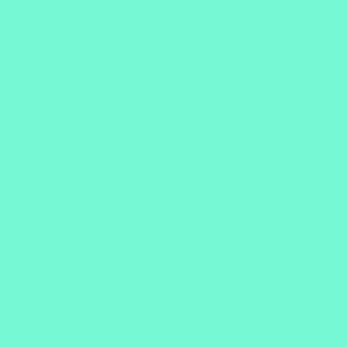 #75f8d3 Image #75f8d3 Image