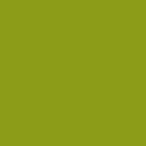#8c9c18 Image #8c9c18 Image