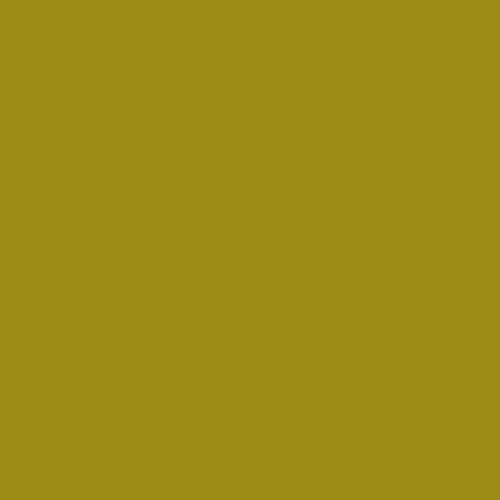 #9c8c18 Image #9c8c18 Image