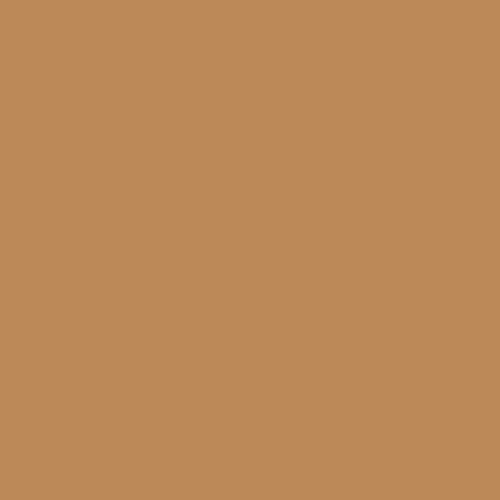 #bc8958 Image #bc8958 Image