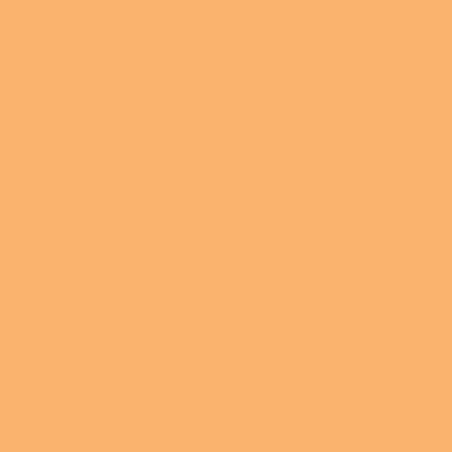 #fab36e Image #fab36e Image